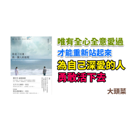 你走了以後,我一個人的旅程:林書宇的百日告別 你走了以後,我一個人的旅程:林書宇的百日告別