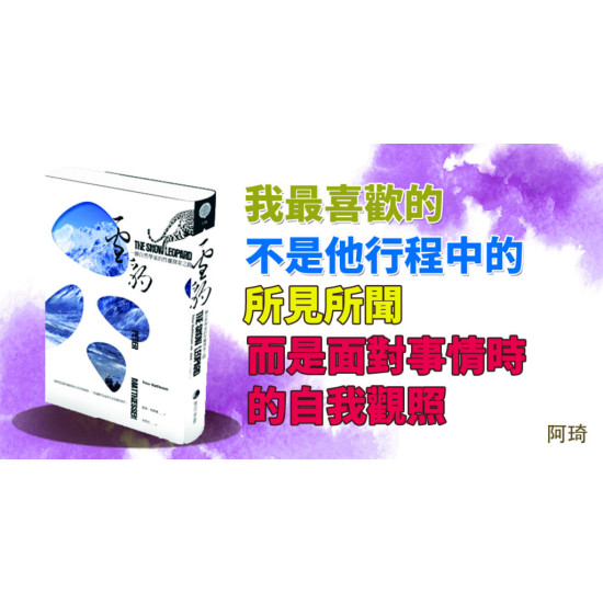 雪豹 雪豹