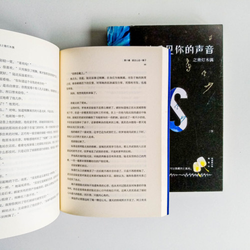 他看見你的聲音之青燈木偶(兩冊) 他看見你的聲音之青燈木偶(兩冊)