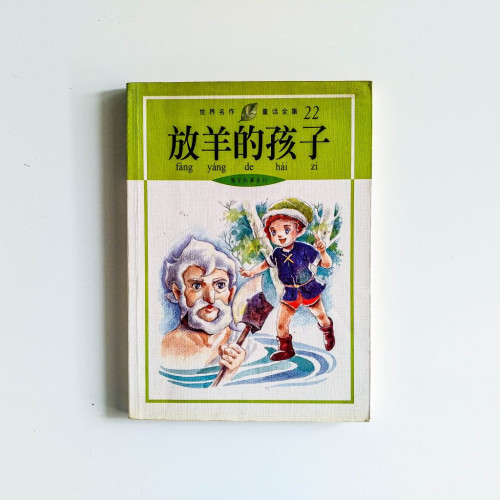 放羊的孩子