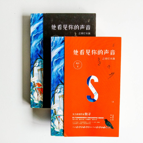 他看見你的聲音之青燈木偶(兩冊) 他看見你的聲音之青燈木偶(兩冊)