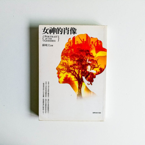 女神的肖像 女神的肖像