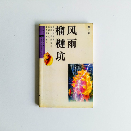 風雨榴槤坑 風雨榴槤坑