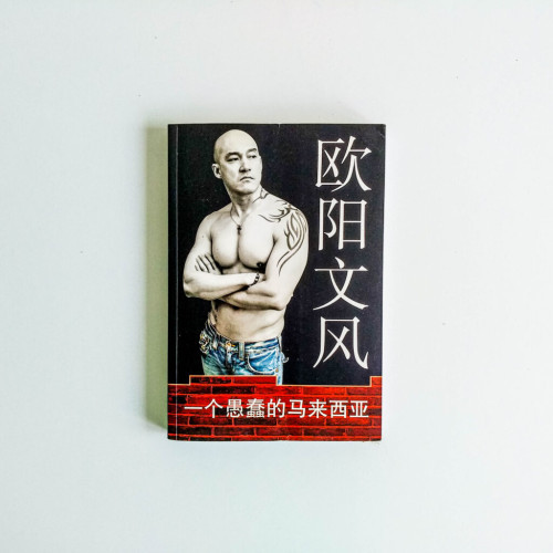一個愚蠢的馬來西亞 一個愚蠢的馬來西亞