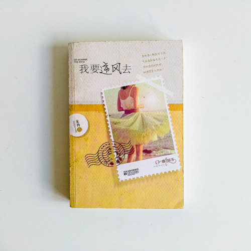 我要逆風去 我要逆風去