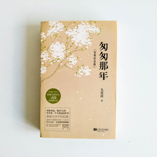 匆匆那年(完美紀念版) 匆匆那年(完美紀念版)