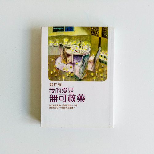 我的愛是無可救藥 我的愛是無可救藥
