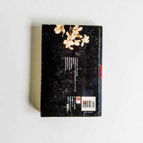 當時明月在 當時明月在