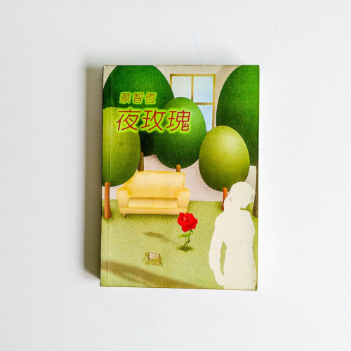 夜玫瑰 夜玫瑰