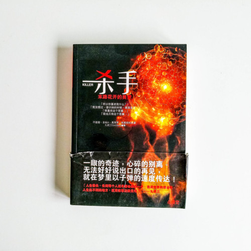 殺手:末路花開的美夢 殺手:末路花開的美夢