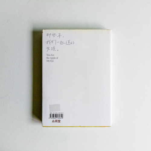 那些年,我們一起追的女孩(新馬電影海報搶先珍藏) 那些年,我們一起追的女孩(新馬電影海報搶先珍藏)