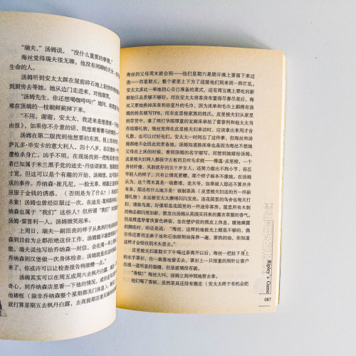 雷普利的遊戲 雷普利的遊戲
