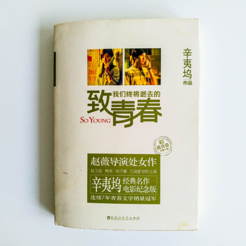致我們終將逝去的青春 致我們終將逝去的青春