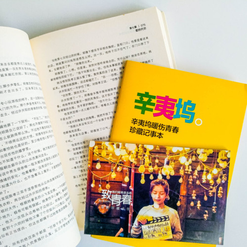 致我們終將逝去的青春 致我們終將逝去的青春