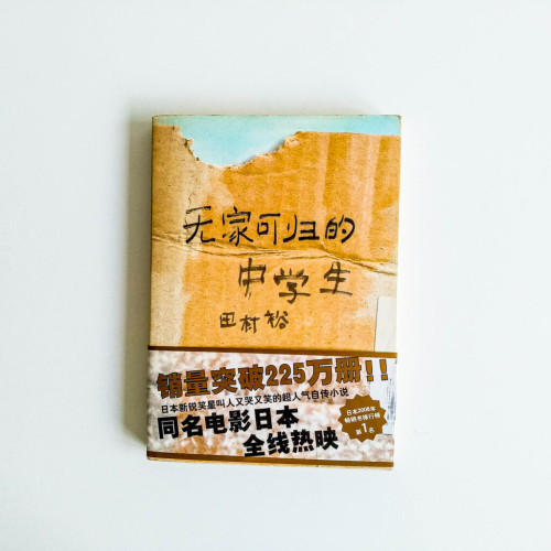 無家可歸的中學生 無家可歸的中學生