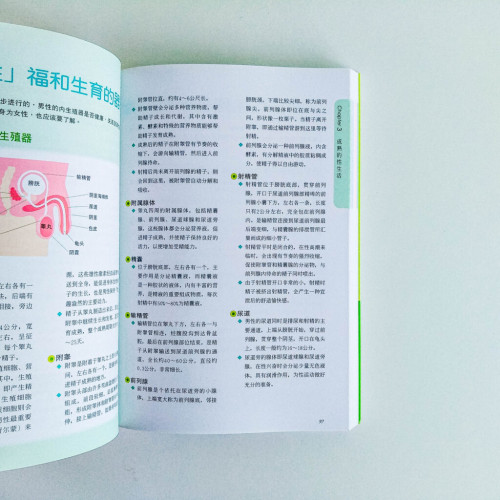 女性身體私密書 女性身體私密書