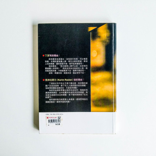站在懸崖上:丁賢談政治 站在懸崖上:丁賢談政治