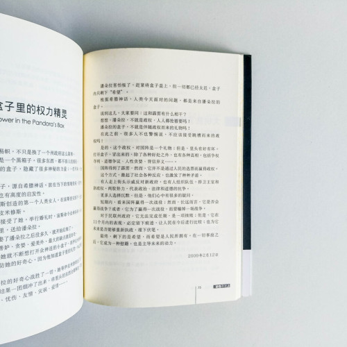站在懸崖上:丁賢談政治 站在懸崖上:丁賢談政治