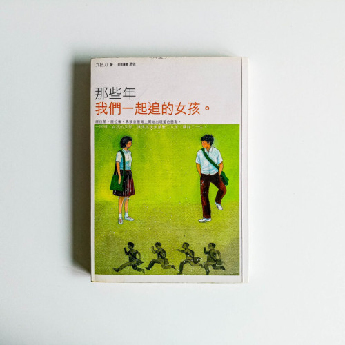 那些年,我們一起追的女孩 那些年,我們一起追的女孩