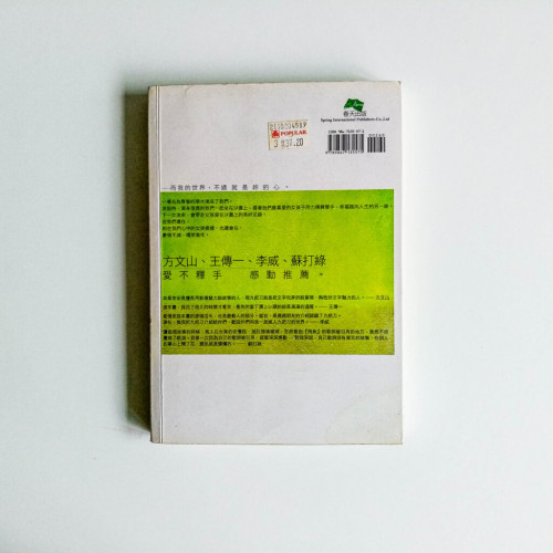 那些年,我們一起追的女孩 那些年,我們一起追的女孩