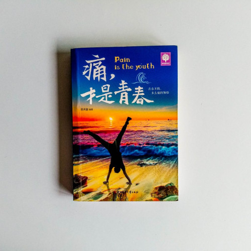 痛,才是青春 痛,才是青春