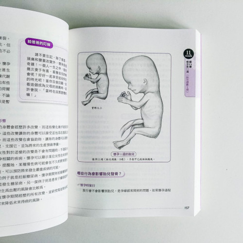 懷孕40週全指南 懷孕40週全指南