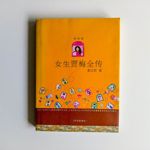 女生賈梅全傳 女生賈梅全傳