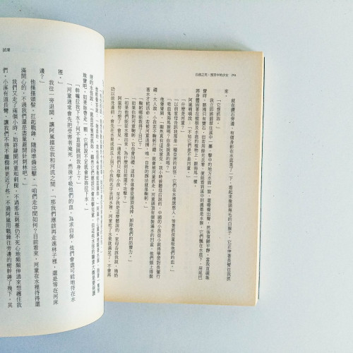 白虎之咒:預言中的少女 白虎之咒:預言中的少女
