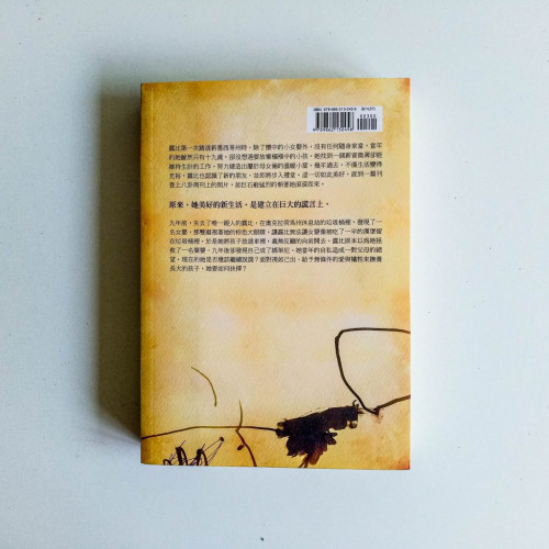 說謊的母親 說謊的母親