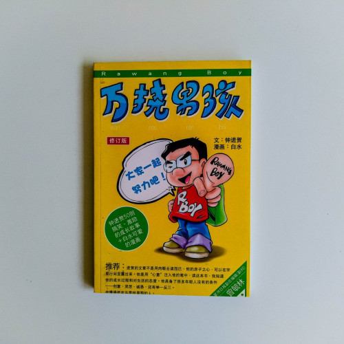 萬擾男孩 萬擾男孩