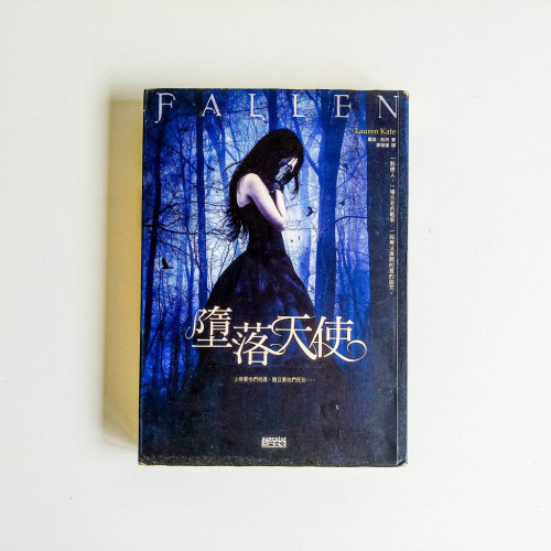 墮落天使 墮落天使