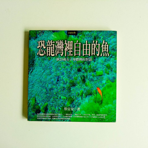 恐龍灣裡自由的魚 恐龍灣裡自由的魚