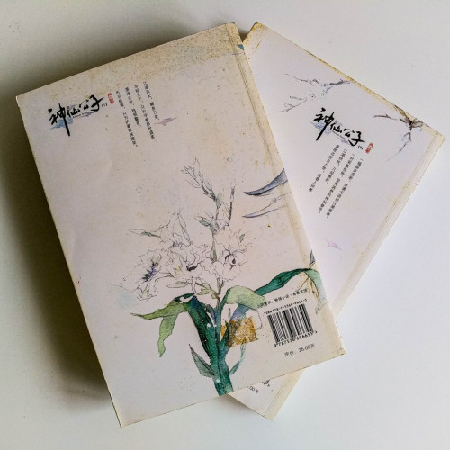 神仙公子(2冊) 神仙公子(2冊)