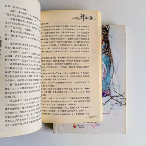 神仙公子(2冊) 神仙公子(2冊)