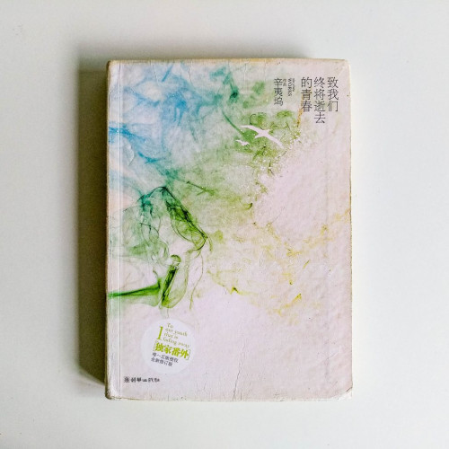 致我們終將逝去的青春 致我們終將逝去的青春