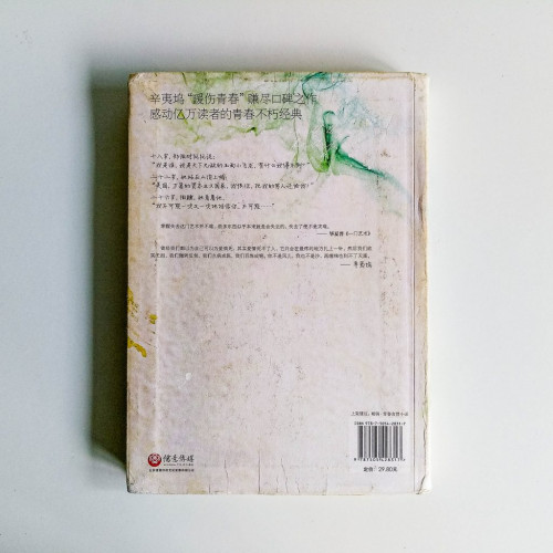 致我們終將逝去的青春 致我們終將逝去的青春