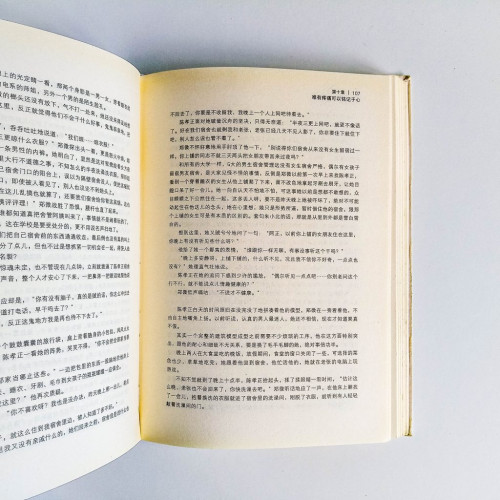 致我們終將逝去的青春 致我們終將逝去的青春