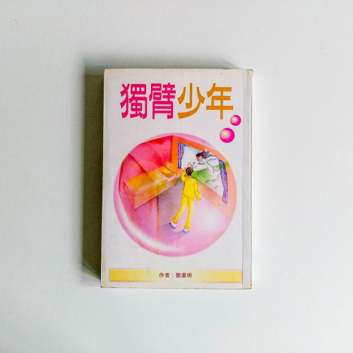 獨臂少年 獨臂少年
