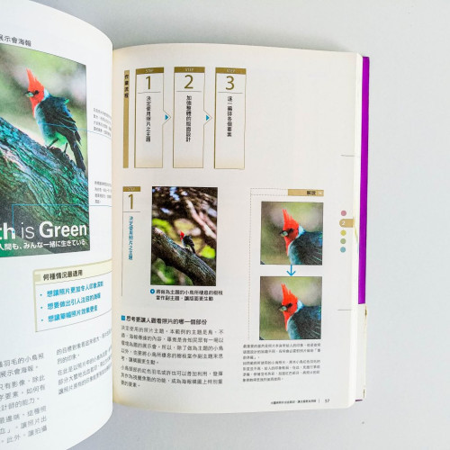 版面的準則 版面的準則