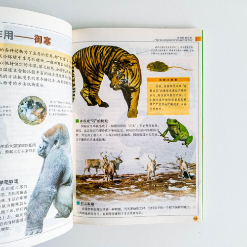 中國少年兒童百科全書 中國少年兒童百科全書