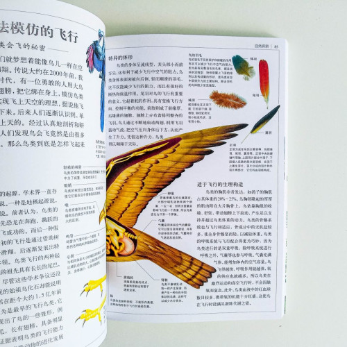 學生探索百科全書 學生探索百科全書