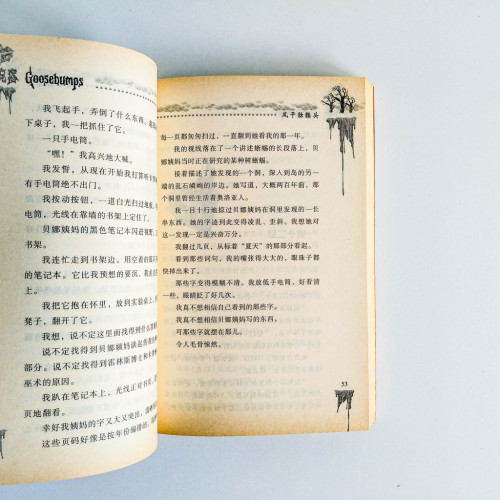 風乾骷髏頭·草坪矮人精 風乾骷髏頭·草坪矮人精