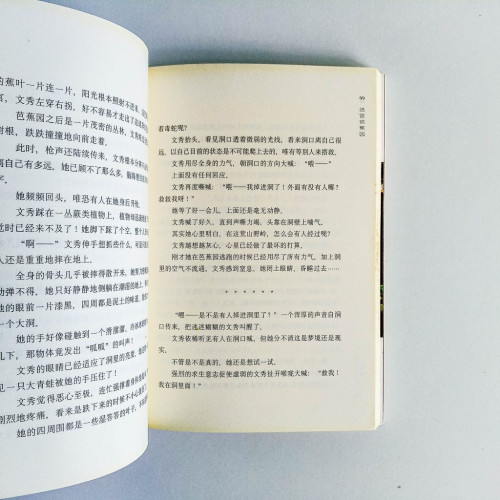 新村(電影小說) 新村(電影小說)