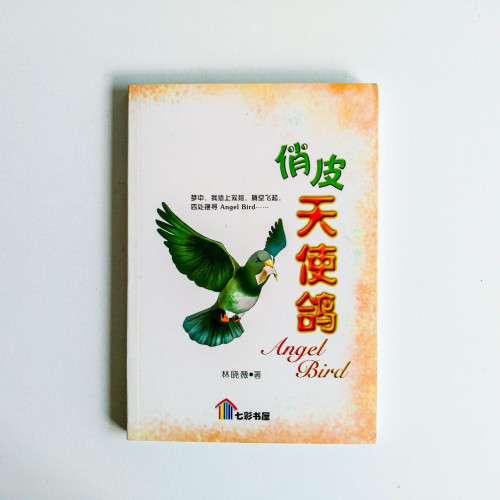 俏皮天使鴿 俏皮天使鴿