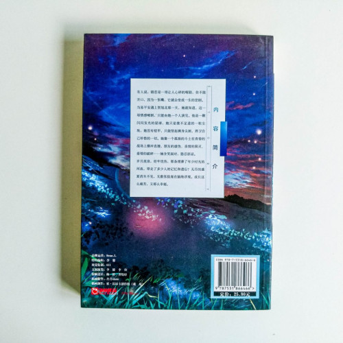 消失的不眠盛夏 消失的不眠盛夏