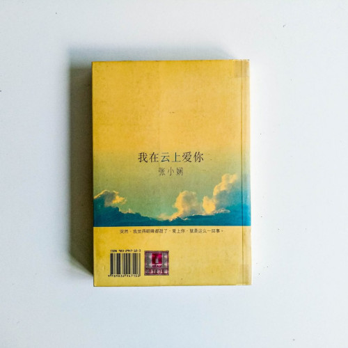 我在雲上愛你 我在雲上愛你