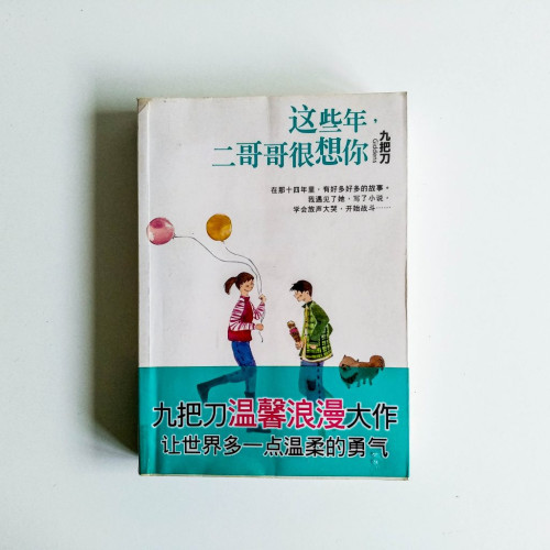 這些年,二哥哥很想你 這些年,二哥哥很想你