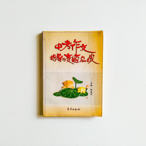 中考作文指導與變題點撥