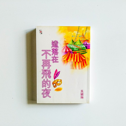 遺落在不再飛的夜