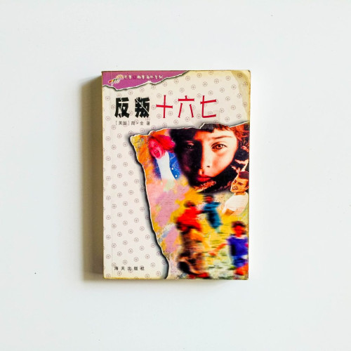 反叛十六七